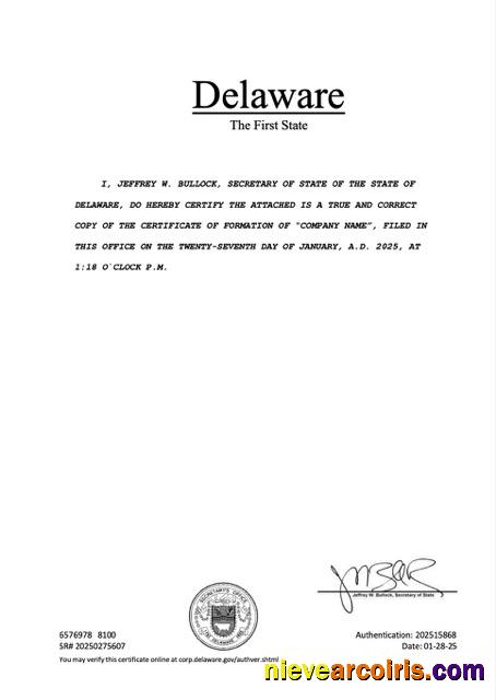 USA Delaware registration certificate
